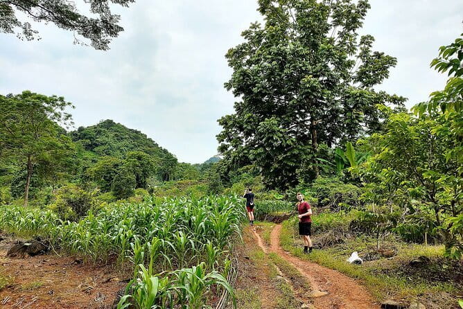 1 Day Ha Giang Loop Tour by Motorbike with Easy Rider - Loopers - Cat Ly Camping and the Mien River