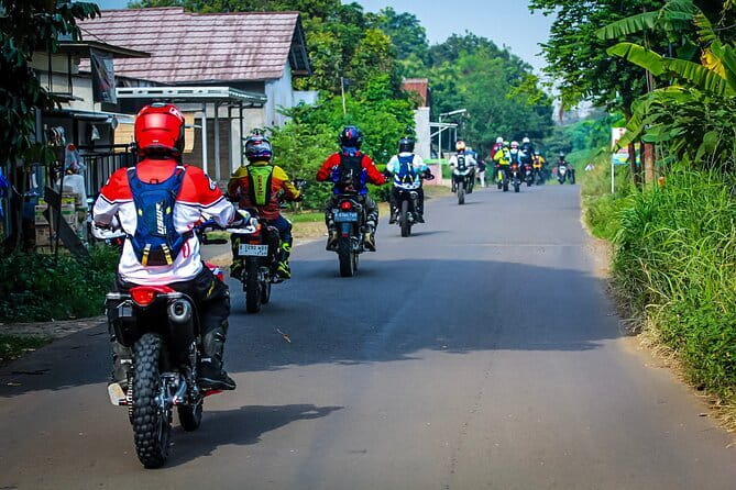 1 Day Motorcycle Tour To Citorek Banten West Of Java - Haurbentes Research Forest: The First Real Nature Stop