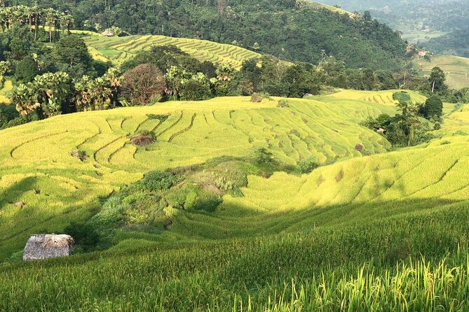 2-Day Motorbike Tour to Mu Cang Chai Loop from Sapa - Why this Sapa to Mù Cang Chải route is worth your time