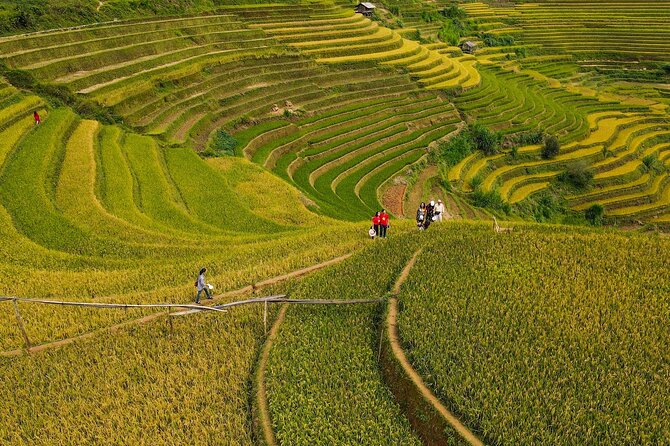 2-Day Motorbike Tour to Mu Cang Chai Loop from Sapa - Day two explores the terraces of La Pán Tẩn