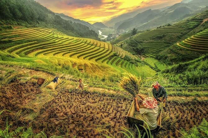 2-Day Motorbike Tour to Mu Cang Chai Loop from Sapa - Love Waterfall adds a forest walk