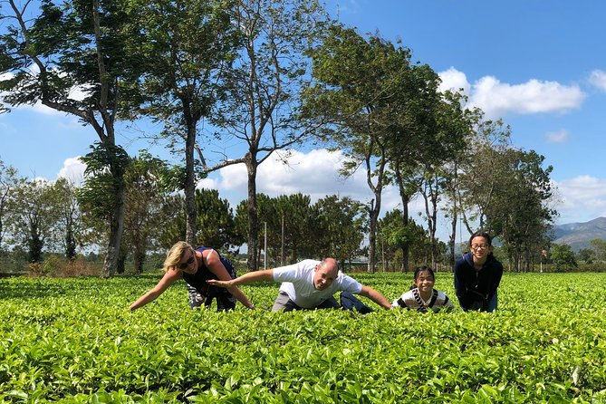 2 Days Motorbike Tour From Mui Ne To Da Lat Or Vice Versa - Is $69 good value?