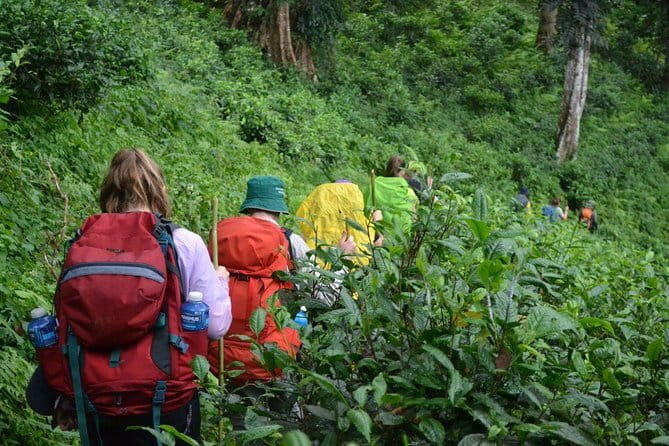 3 Day Motorcycle Tour (Mae Hong Son Loop) from Chiang Mai, Thailand - Who should book this ride?