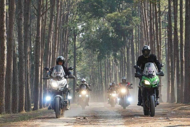 3 Day Motorcycle Tour (Sukhothai Loop) from Chiang Mai, Thailand - Day two: rice fields, Sukhothai, and sunset ruins