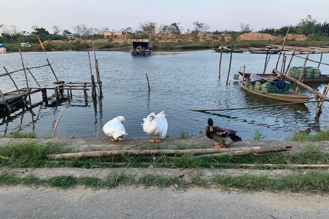 3 Hours Motorbike Tour in Hoi An Countryside. - Booking, cancellation, and group details