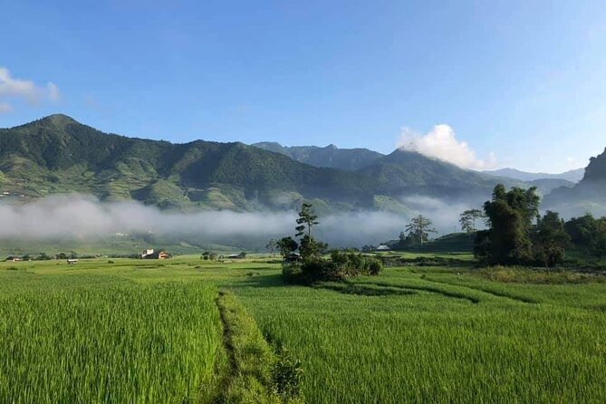 3D2N- Rice Terraces Treks & Easy rider from Sa Pa - Mam Xoi Hill and the famous terrace views