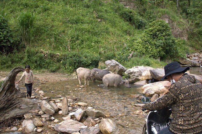 3D2N- Rice Terraces Treks & Easy rider from Sa Pa - Day three: a creek-side trek through Lim Mong Valley