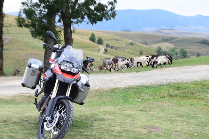 7 Day Best of Transylvania Motorcycle Tour from Cluj - Day five: The famous bends of Transfagarasan