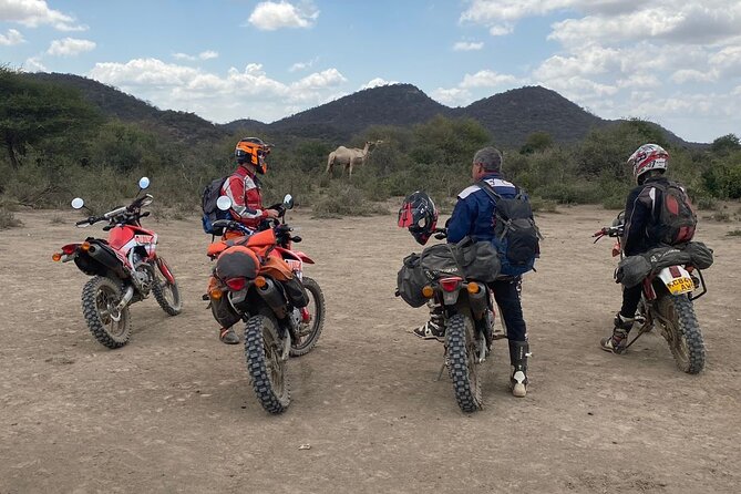 7-Day Tanzania Private Guide Motorcycle Safari Tour - Day 4: The Manyara and Tarangire ecosystem