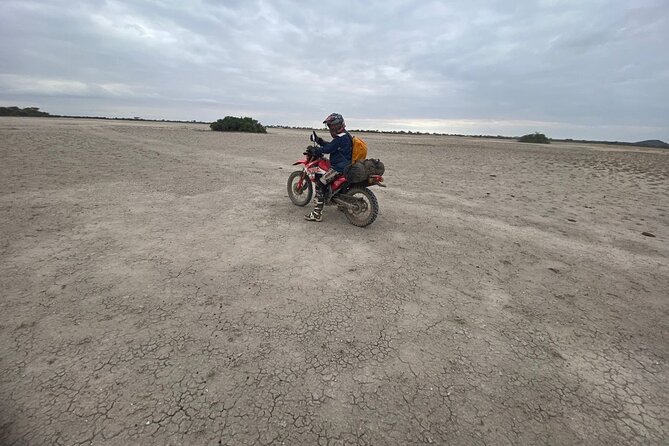 7-Day Tanzania Private Guide Motorcycle Safari Tour - Day 5: Tarangire country and Maasai territory