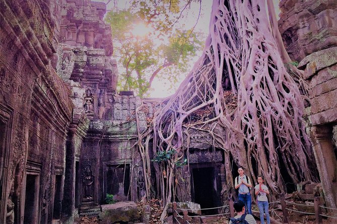Angkor Wat Bakeng Sunset by Motorcycle Private Tour - Ta Nei offers a quieter forest stop