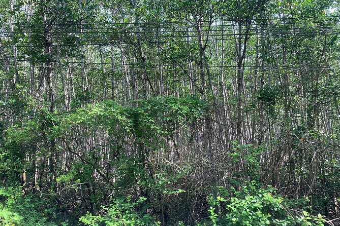 Can Gio Mangroves - Monkey Island by Motorbike and Scooter - The guides make a real difference