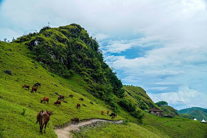 Cao Bang Loop 3 Days Easy Rider with The Loop Tours - Homestays, food, and the human side of the route