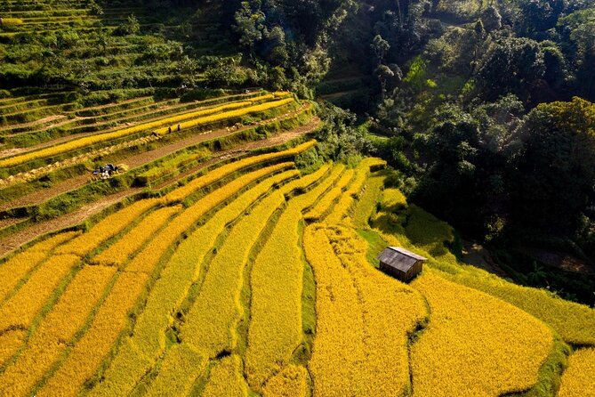 Cao Bang Loop Tour 3D2N by Motorbike, Car or Jeep - Why Cao Bang works better than a quick waterfall stop