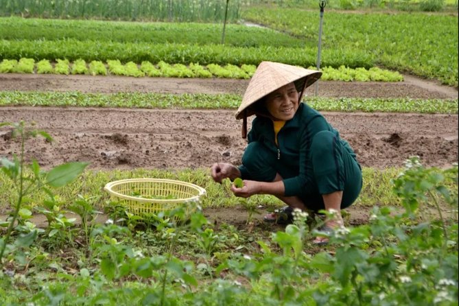 Countryside and Villages Tour By Motorbike - Food, coffee, and the value of $51