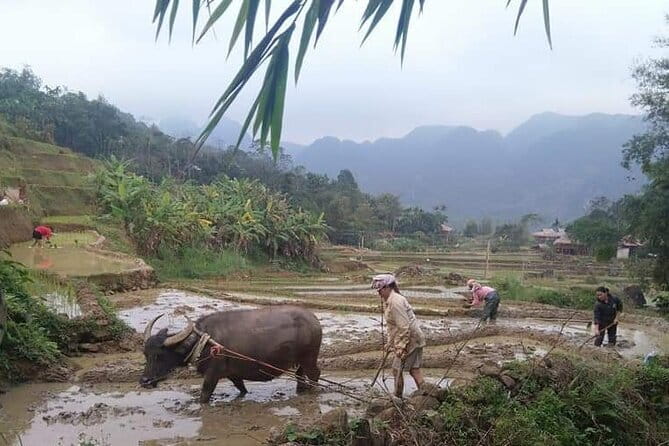 Da Lat Easy Rider-3 Days From Dalat To Ho Chi Minh city - Why this route is more than a transfer