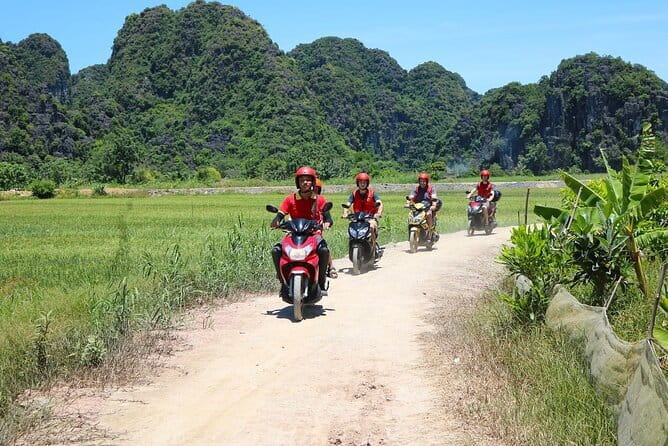 Discover Ninh Binh’s Highlights Hidden Gems 1 Day Motorbike Tour - Thai Vi Temple and the Tran dynasty