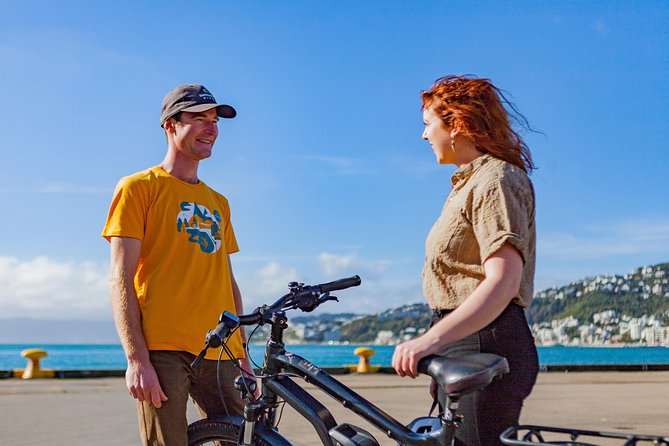Easy Rider Two-Hour Wellington eBike Tour - The Zephyrometer in Evan’s Bay