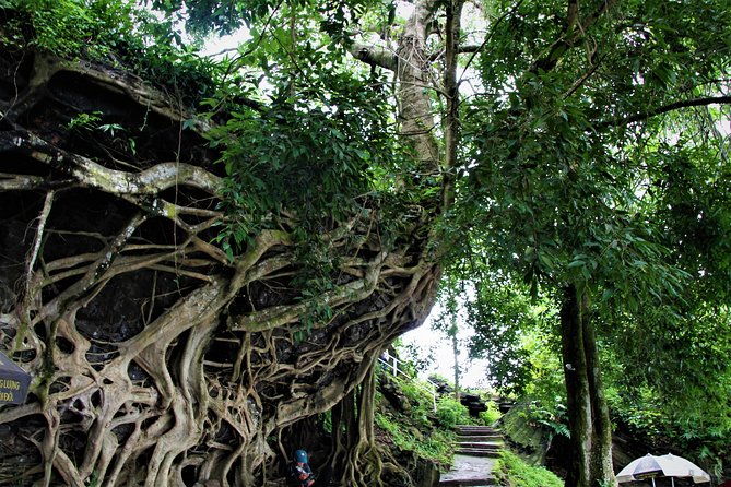 Easy Riders Buon Ma Thuot - Daily Tour. - The flexible route is the real selling point