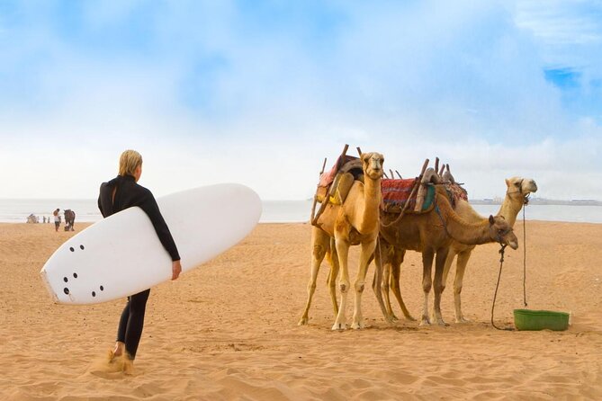 Essaouira Express Circuit by Electric Motorcycle - Key points to know before booking