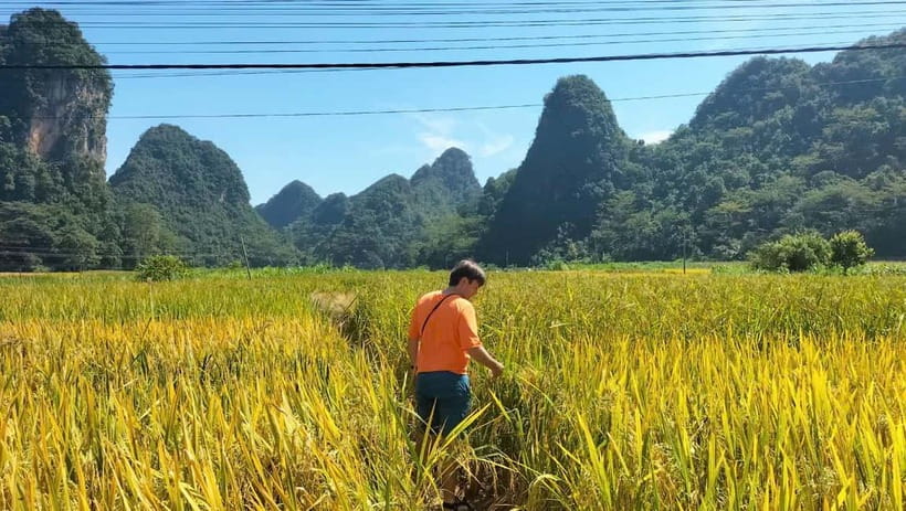 From Ha Noi: Cao Bang Loop Motorbike With Easy Rider - A full day on two wheels