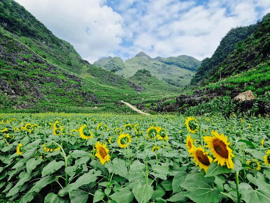 From Hanoi : Ha Giang Loop 3D2N Easy Rider - Why the Ha Giang Loop is worth your time