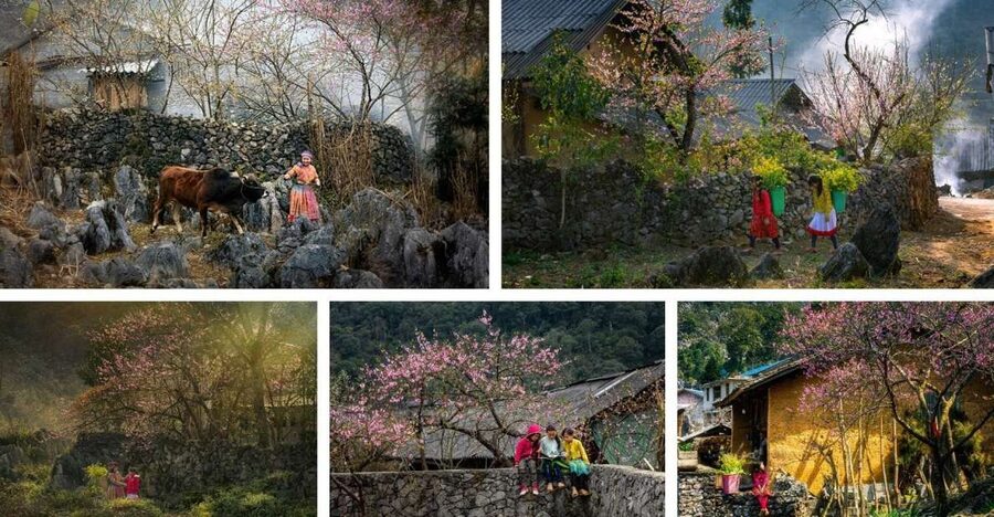 From Hanoi: Ha Giang Loop 4 days 4 nights with easy rider - Key points to know before booking