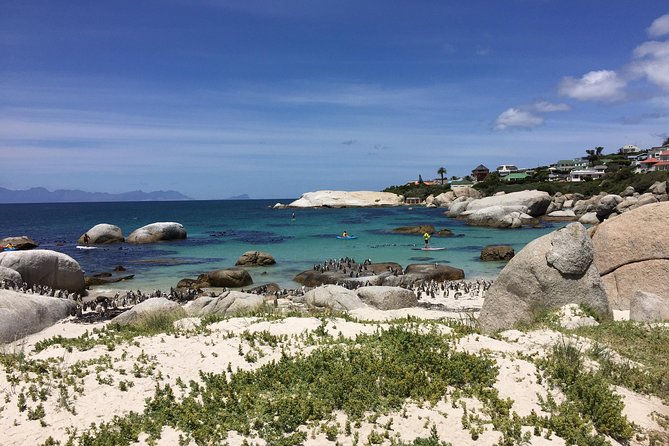 Full Day Cape Peninsula Motorcycle Tour on a Royal Enfield - Constantia and the return toward Camps Bay