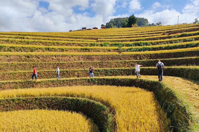 Full day motorbike Mu Cang Chai - Why Mu Cang Chai works so well by motorbike
