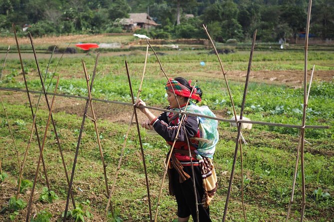 Ha Giang Easy Rider 3D3N - Why the Ha Giang Loop is worth your time