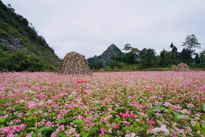 Ha Giang Loop 3D/2N Private Tour with Easy Rider - Why this Ha Giang tour works well