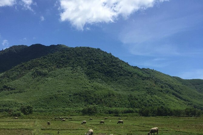 HAI VAN PASS MOTORBIKE TOUR - Top Gear Experience - Cooling off at Suoi Mo Waterfall