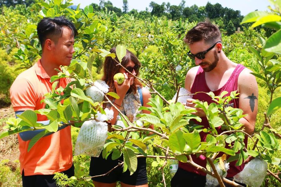 Hanoi Adventure Tour by Motorbike - The guide can shape the whole morning
