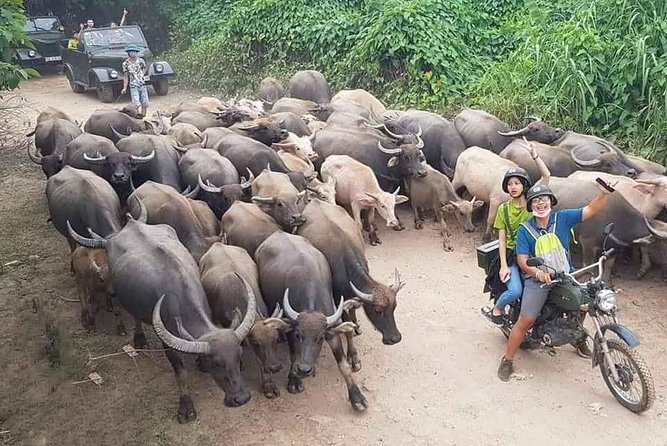 Hanoi Countryside Motorbike Tour: Red River Culture & Daily Life - Key things to know before you book