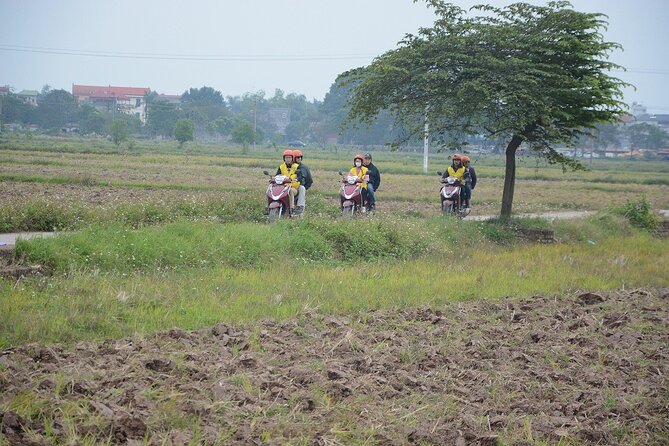 Hanoi Countryside Motorbike Tours Led By Women - Ending with Vietnamese food near Hồ Trúc Bạch