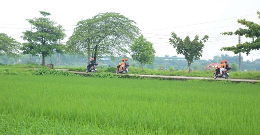 Hanoi Motorbike Countryside Tour - Riding through rice fields near Hanoi