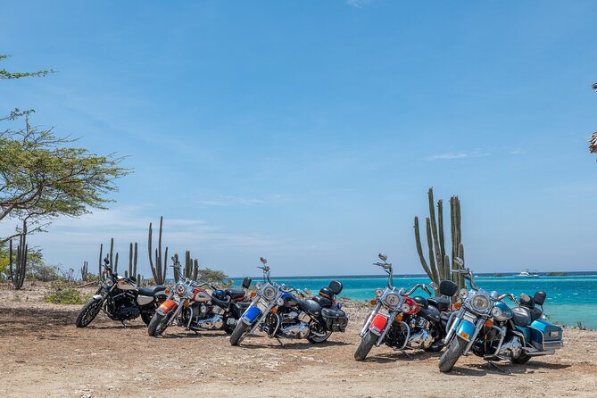 Harley-Davidson Guided Island Tours - Baby Beach, Aruba’s bright southern pause