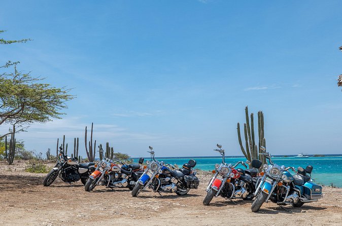 Harley-Davidson RENTALS ONLY 4 hrs - Price, fuel, and what is included