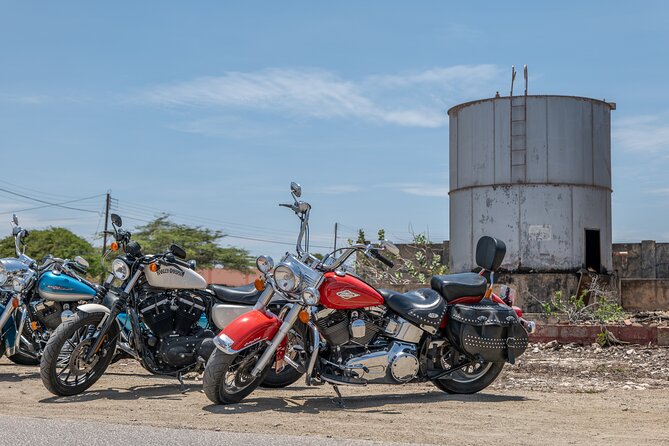 Harley-Davidson RENTALS ONLY 4 hrs - Building your four-hour Aruba route