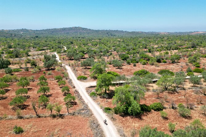 Hills & Thrills: 4 Hr Fonte da Benémola Electric Motorbike Tour - Key points at a glance