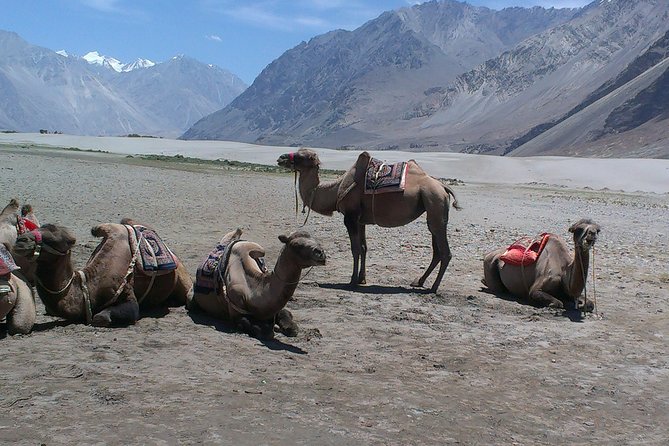 Himalayas Motorcycle Escapades - What the 13-day route actually feels like