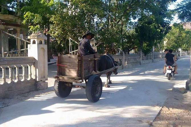 Hue Imperial City and Countryside Tour with Mr T Easy Rider - An Bang Cemetery and the City of Ghosts