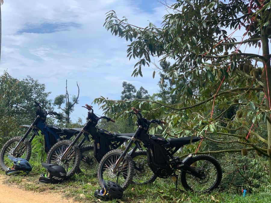 Koh Samui : Electric Motorbike trip in mountain - Jungle tracks, waterfalls, and viewpoints