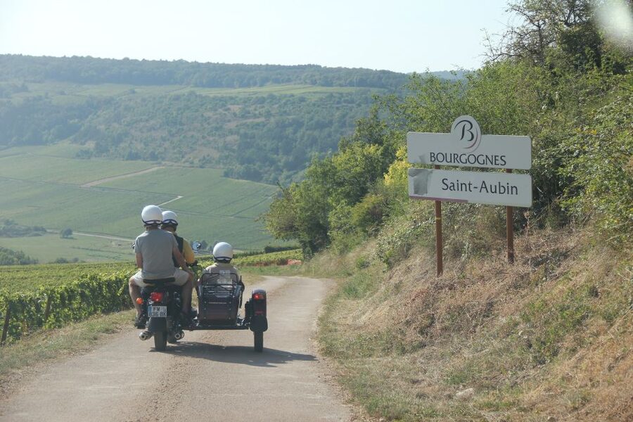 Meursault: Tour of the Vineyards on Motorbike with Sidecar - Blagny, Gamay, and Saint-Aubin on Quiet Roads