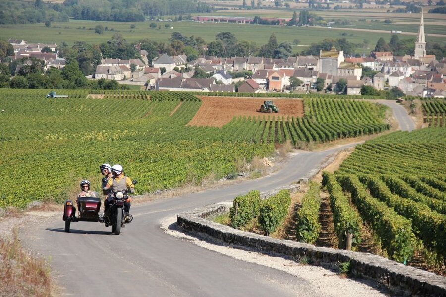 Meursault: Tour of the Vineyards on Motorbike with Sidecar - Chassagne-Montrachet and Puligny-Montrachet