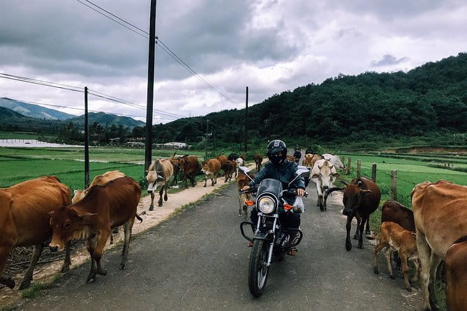 Motorbike tour from Dalat to Muine 2 days trip - The five-hour Da Lat section