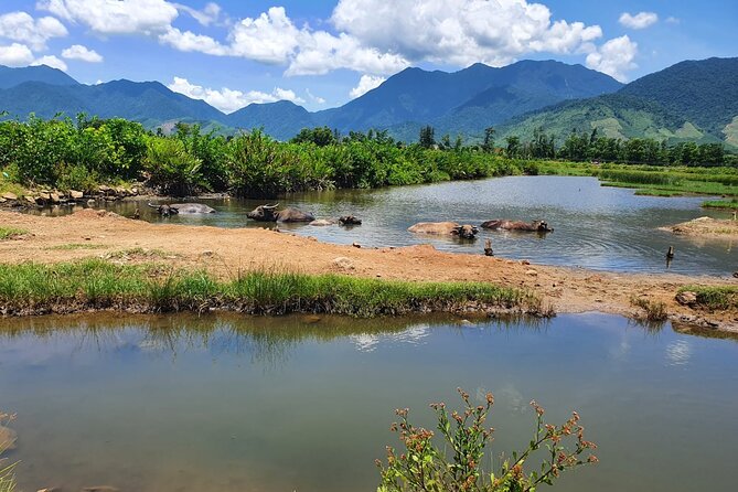 Motorbike Tour From Hue to Danang or Hoi An via Hai Van Pass - Suoi Mo Waterfall and a chance to swim