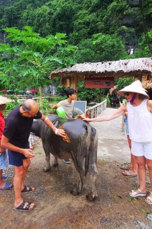 Ninh Binh : Countryside Tour by Motorcycle - Buffalow Riding - Key points at a glance