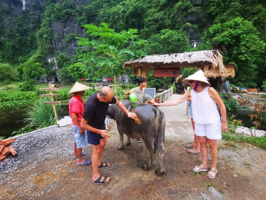 Ninh Binh : Countryside Tour by Motorcycle - Buffalow Riding - Thai Vi Temple and the Tran dynasty connection