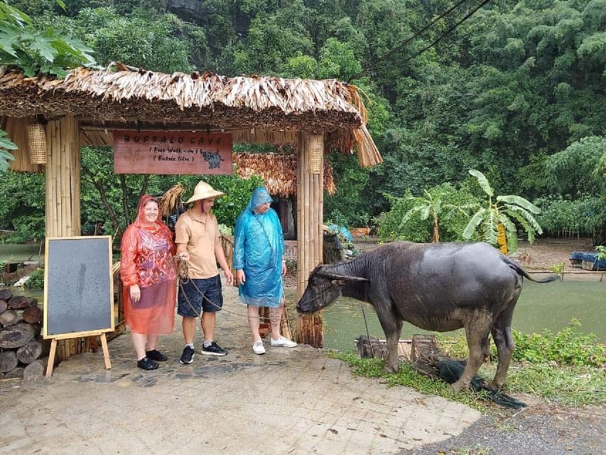 Ninh Binh : Countryside Tour by Motorcycle - Buffalow Riding - 13:30 through Thung Nang